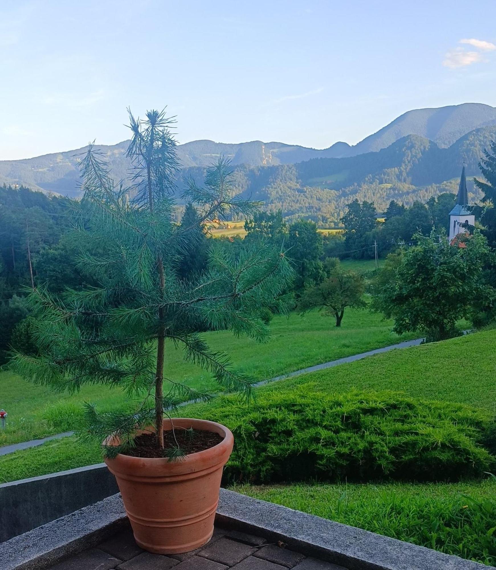 Apartmaji Borstner Vransko Экстерьер фото